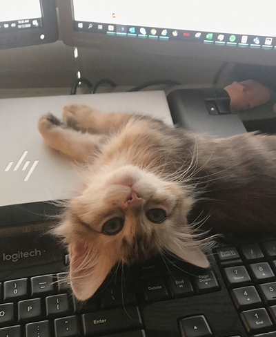 office helper